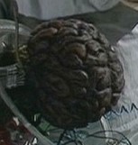 Gallifreyan Brain
